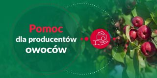 Pomoc dla producentów owoców