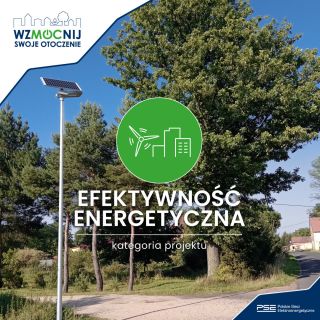 fot. Polskie Sieci Elektroenergetyczne logo
