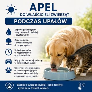Apel do właścicieli zwierząt podczas upałów